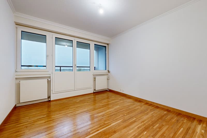 Superbe appartement proche du Parc Geisendorf (6)