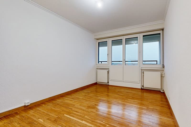 Superbe appartement proche du Parc Geisendorf (7)