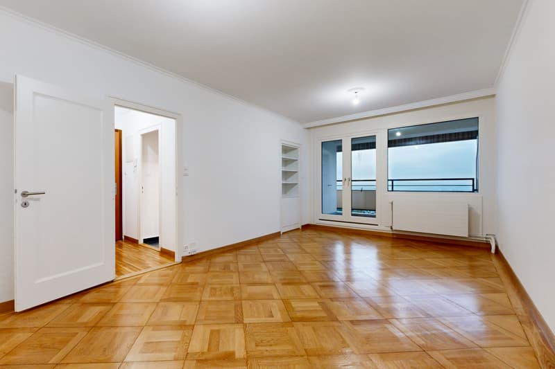 Superbe appartement proche du Parc Geisendorf (5)