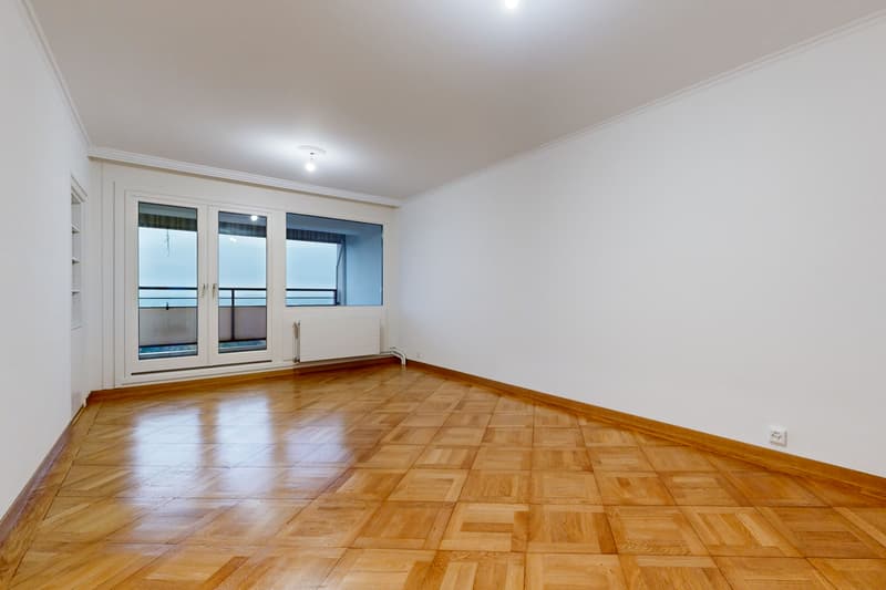 Superbe appartement proche du Parc Geisendorf (3)