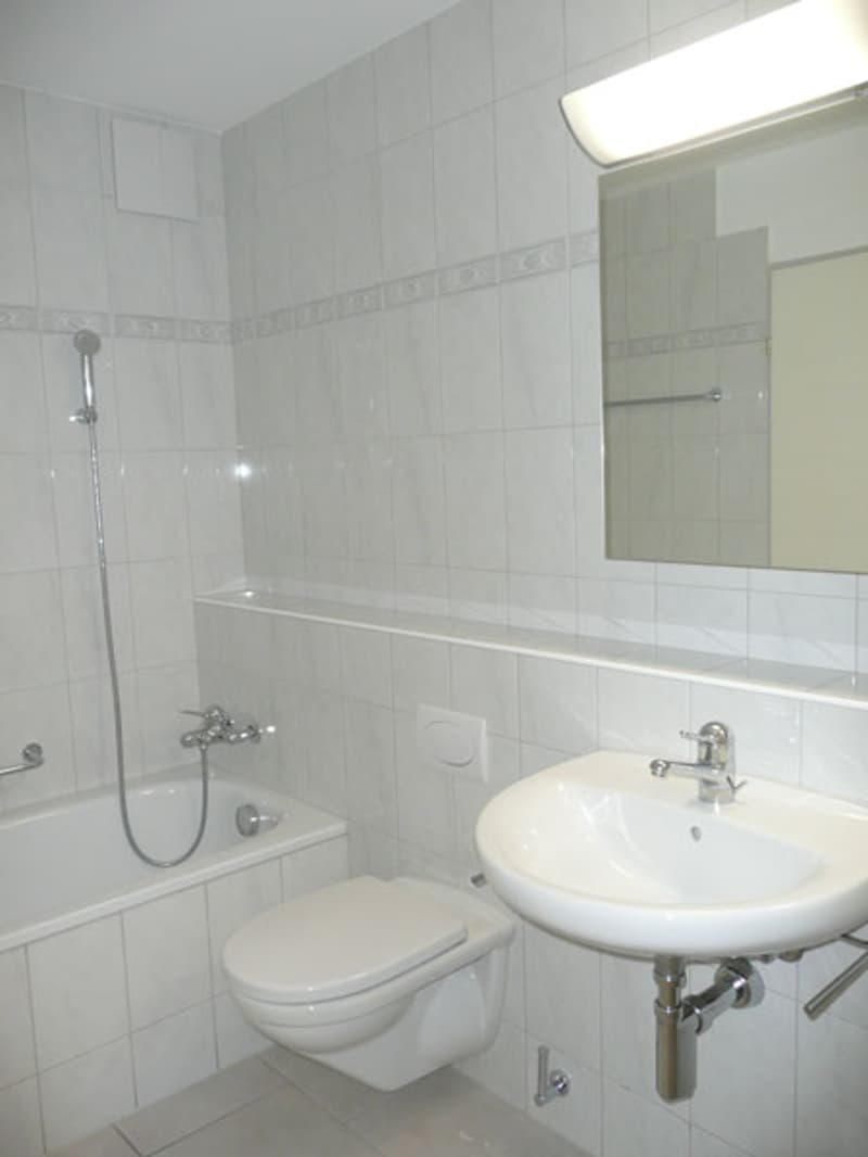 Wunderschöne Wohnung in Feldmeilen (5)