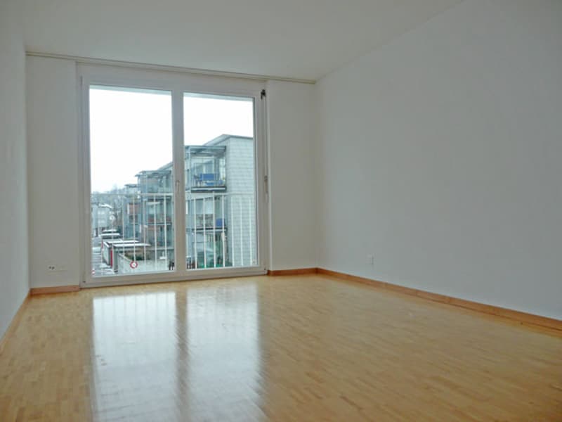 Wunderschöne Wohnung in Feldmeilen (7)