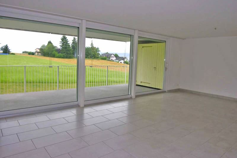 Wunderschöne Wohnung in Feldmeilen (3)