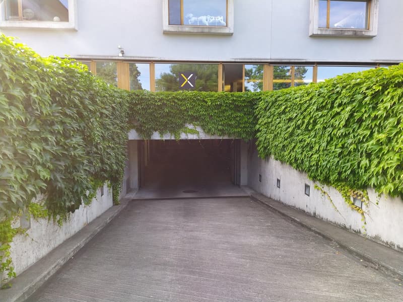 Trockenes Plätzchen für Ihr Auto (2)