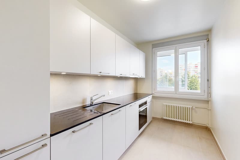 Joli appartement à Chêne-Bourg ! (4)