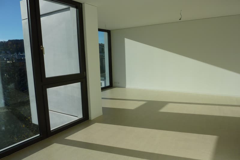 Neubau - Sichern Sie sich diese zentrale Maisonettewohnung! (4)