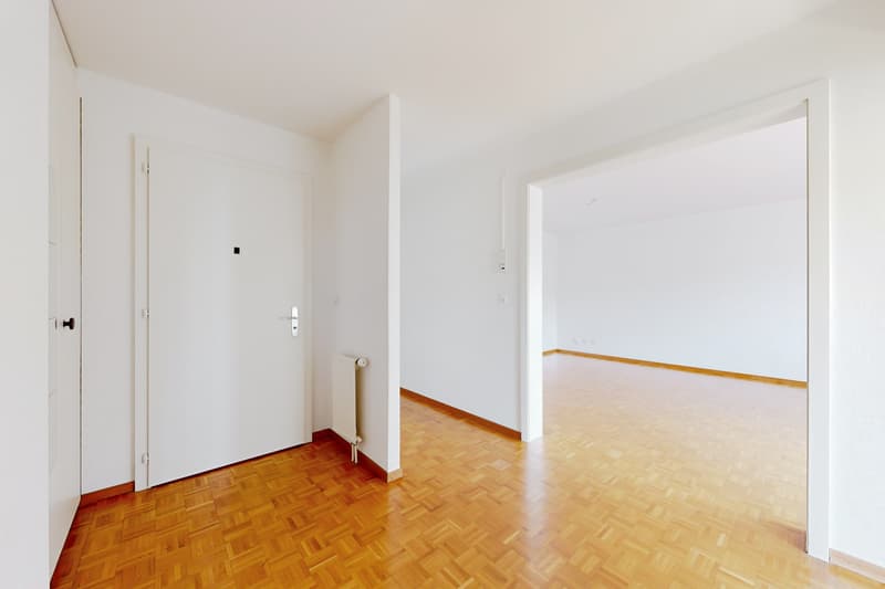 Spacieux logement à louer à Montreux (6)