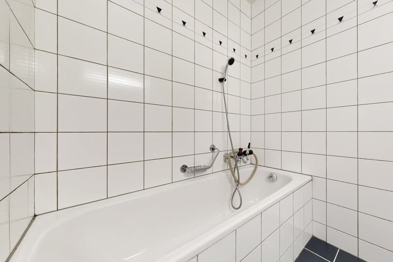 Espace à vivre agréable (8)