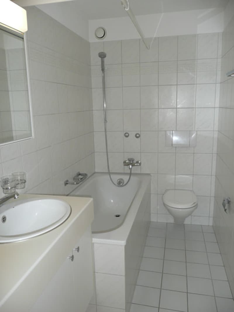 Die perfekte Wohnung in der Stadt Winterthur - befristet bis 30.11.2029 (4)