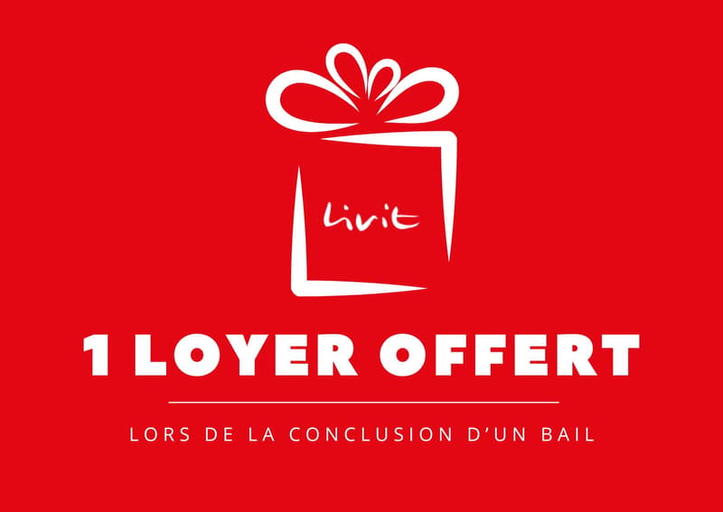 Opportunité à ne pas manquer ! 1 mois de loyer net gratuit (8)