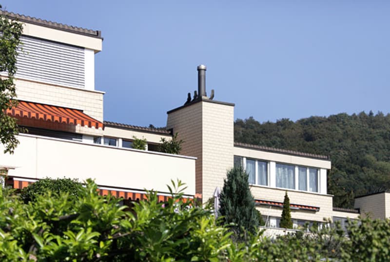 Charmante Wohnung mit Cheminée (1)
