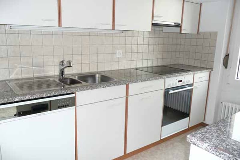 Charmante Wohnung mit Cheminée (3)