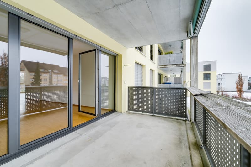 Bereit für ein neues Zuhause? (8)