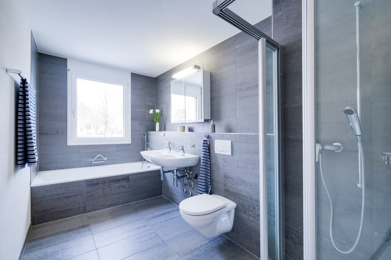 Bereit für ein neues Zuhause? (5)