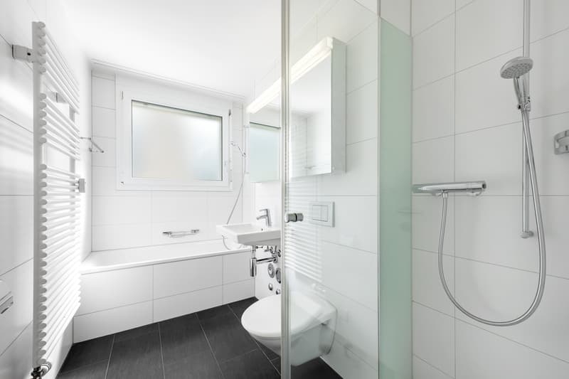 Perfekte Wohnung in Dübendorf mit Dachterrasse! (7)