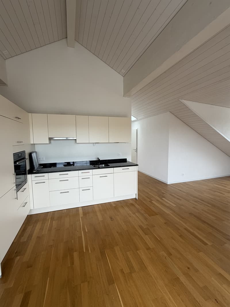 Stilvolle Dachwohnung mit Charme an zentraler Lage sucht Nachmieter! (3)