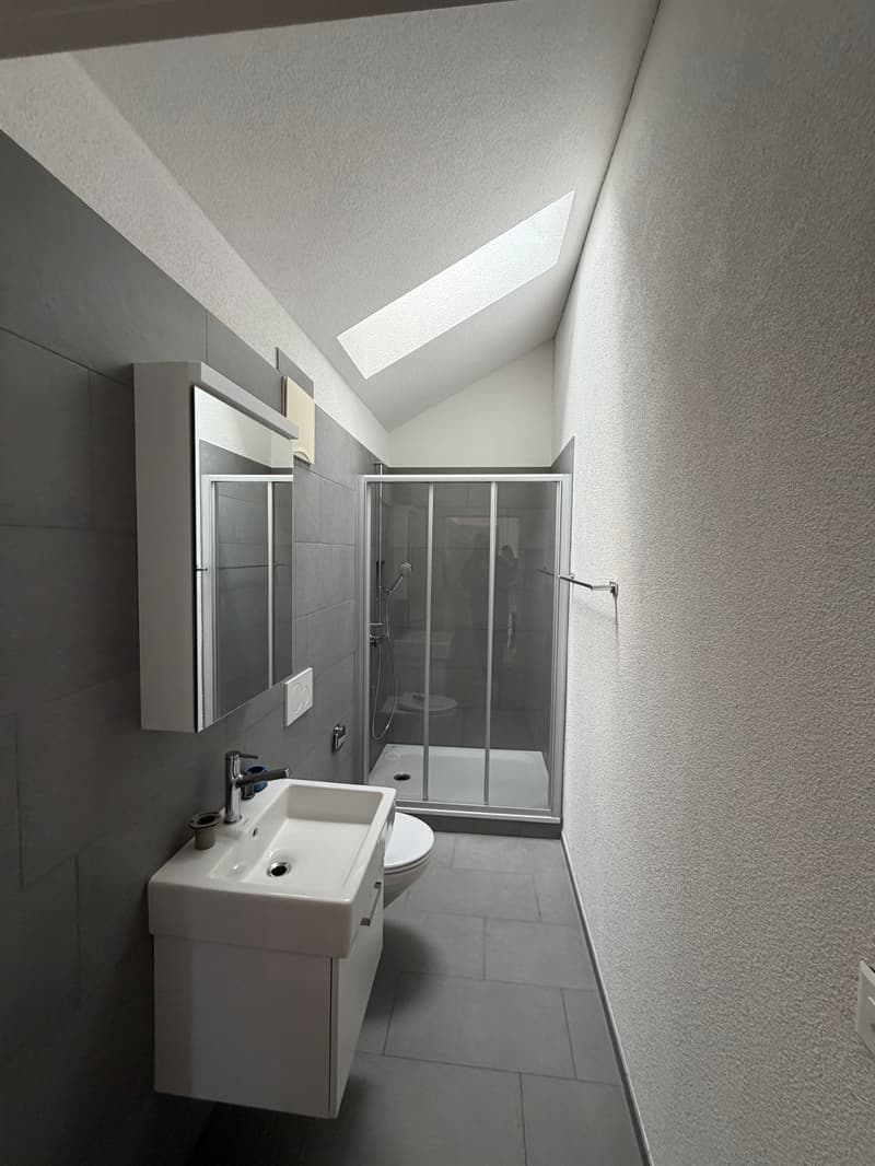 Stilvolle Dachwohnung mit Charme an zentraler Lage sucht Nachmieter! (7)
