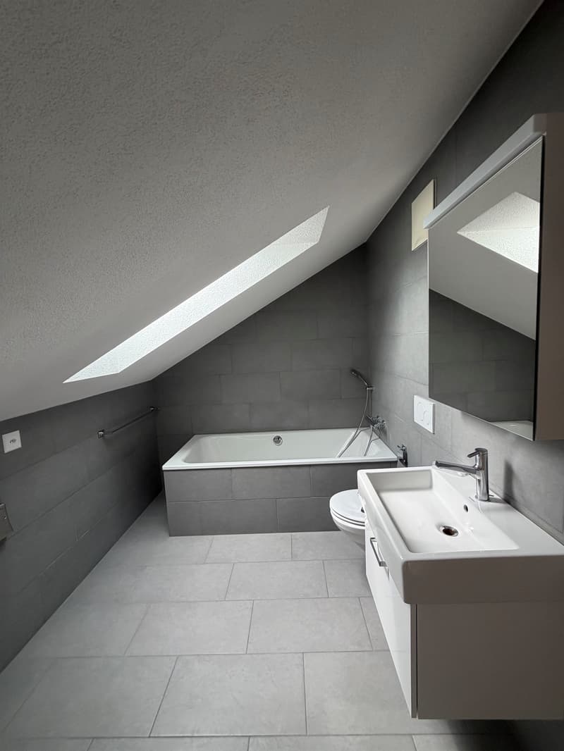 Stilvolle Dachwohnung mit Charme an zentraler Lage sucht Nachmieter! (6)