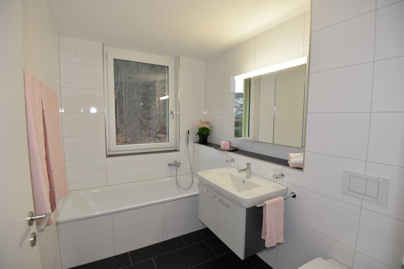 Moderne Wohnung in Goldau (13)