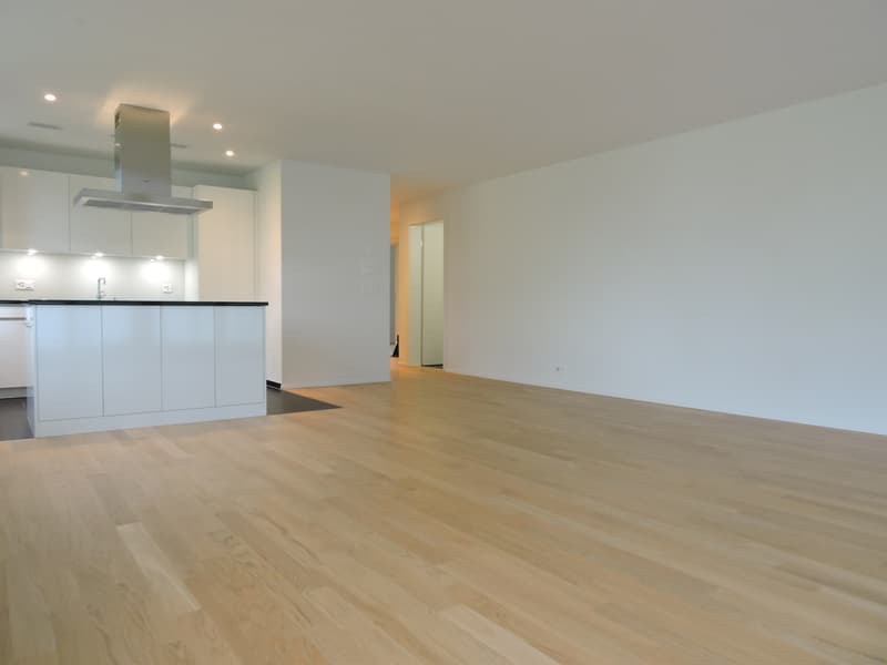 Moderne Wohnung in Goldau (5)