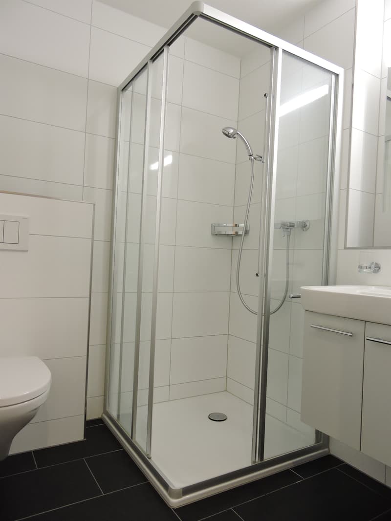 Moderne Wohnung in Goldau (8)