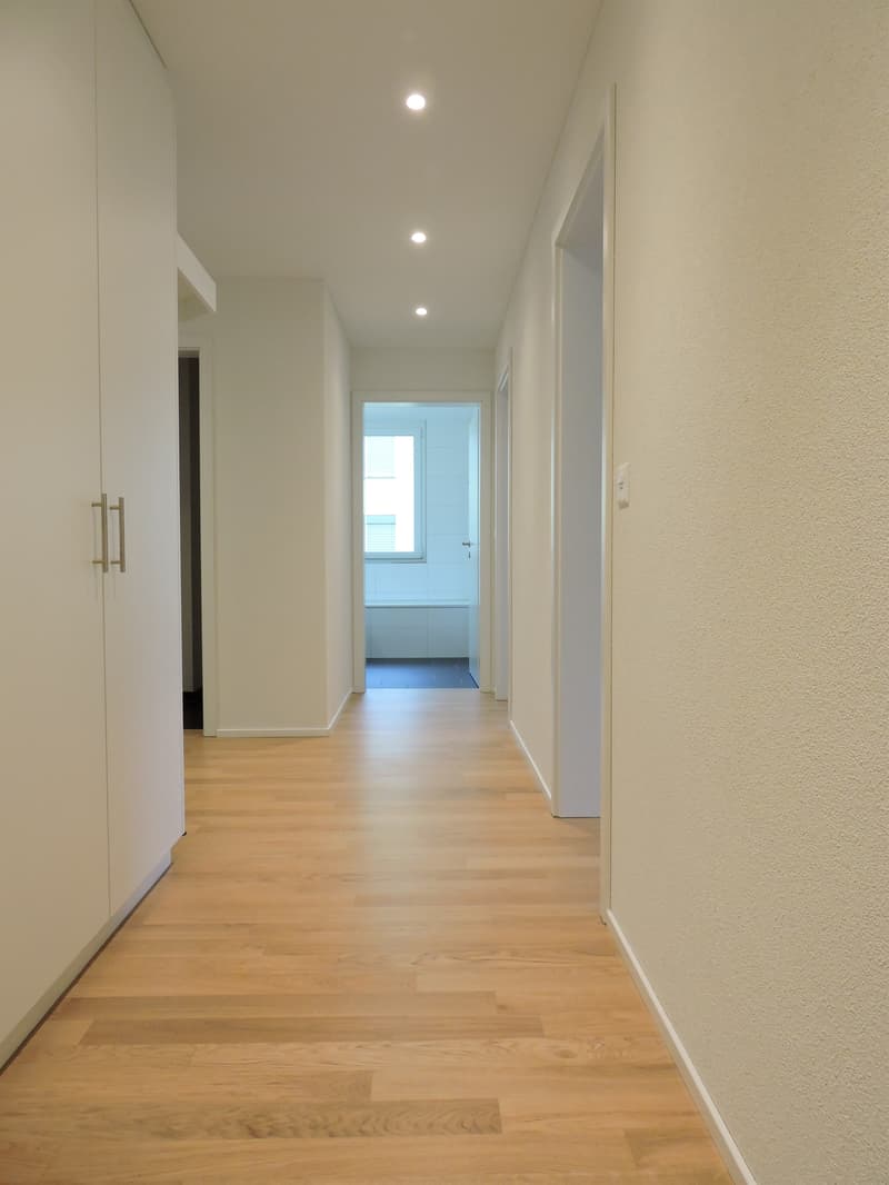 Moderne Wohnung in Goldau (7)