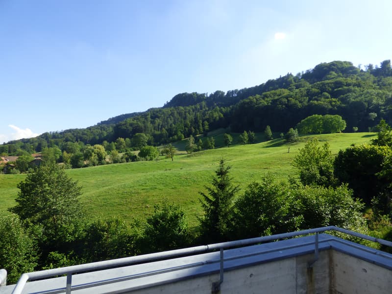 Dach-Maisonette-Wohnung an ruhiger Lage (7)