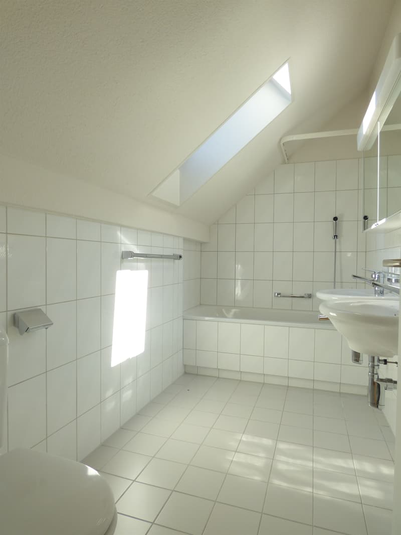 Dach-Maisonette-Wohnung an ruhiger Lage (6)
