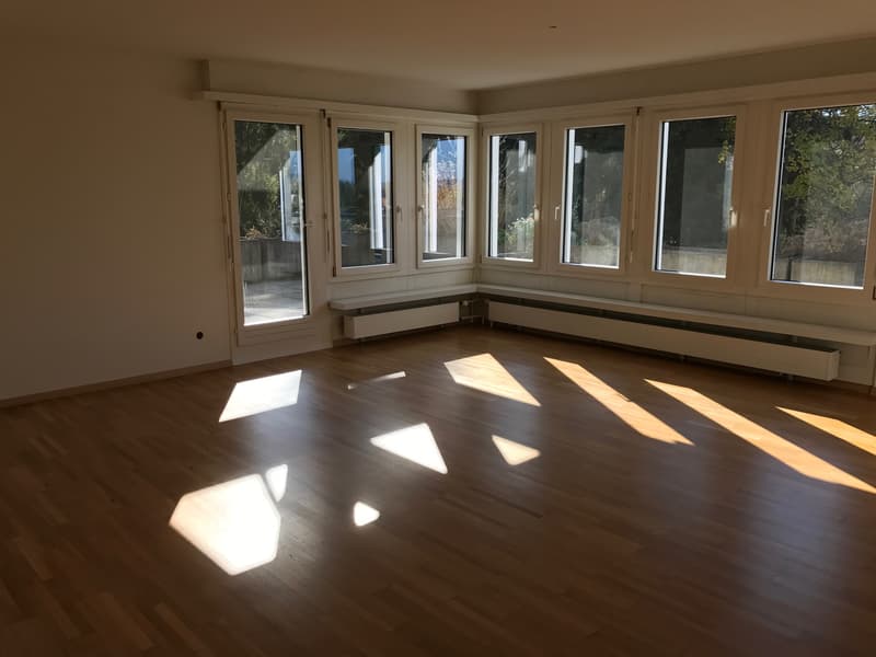 Wohntraum Attika - im bevorzugten Haslenquartier mit 2 Terrassen! (4)