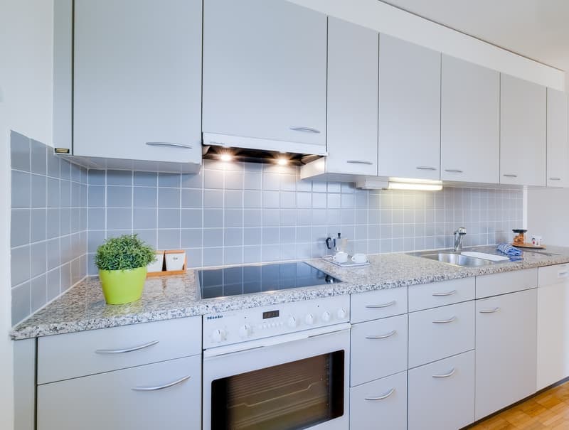 Grosszügige 3.5-Zimmerwohnung mit Weitblick (4)
