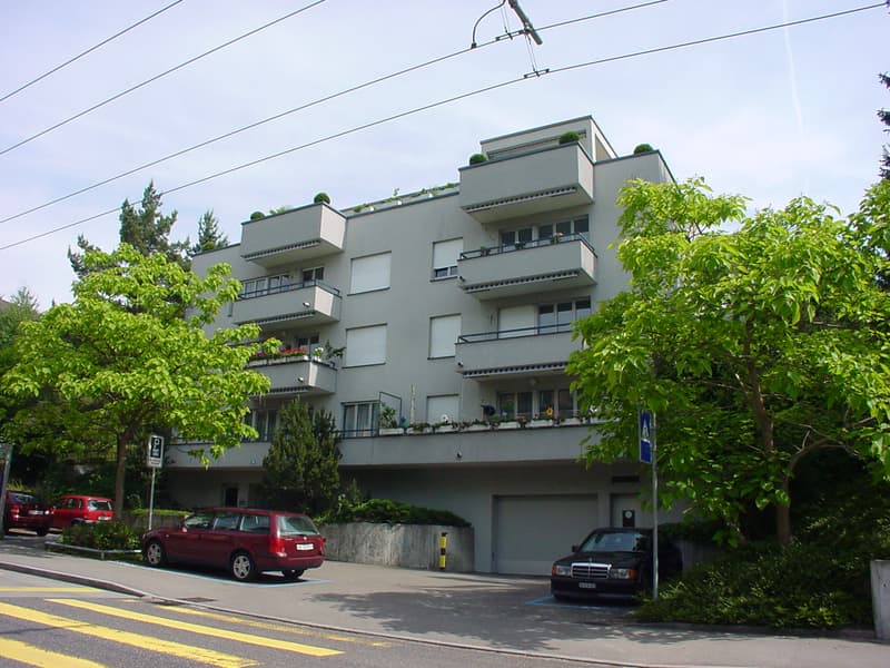 Zürich-Höngg, zentral und doch ruhig (1)