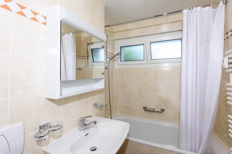 Votre logement à Monthey ! (6)
