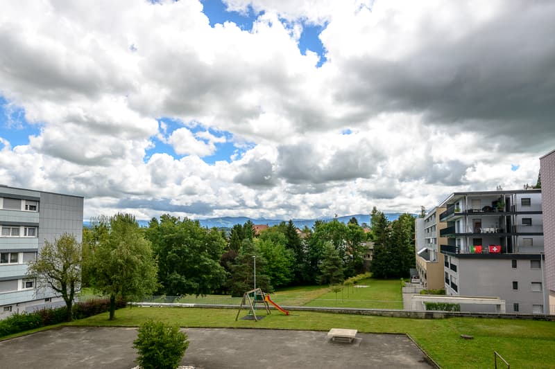 Quartier verdoyant à proximité des commerces (4)