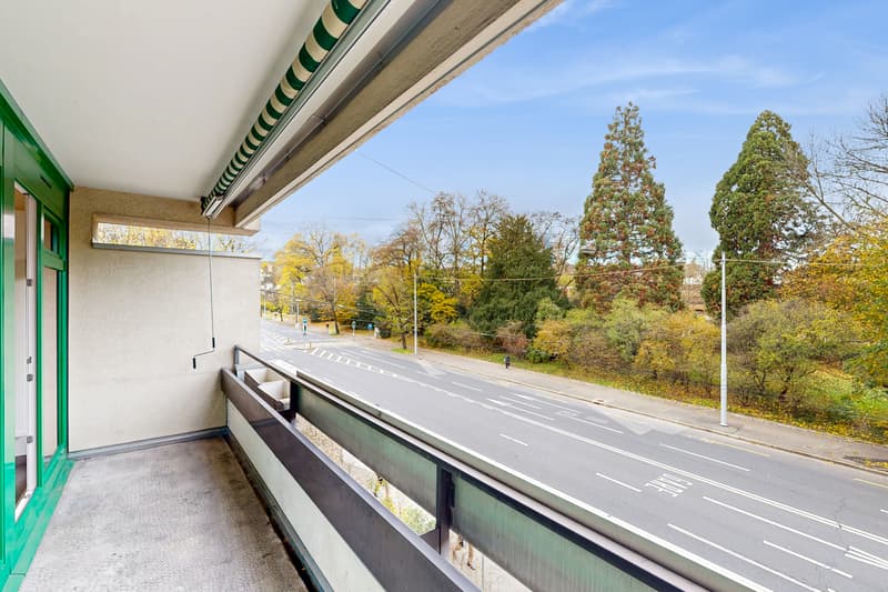 Appartement lumineux de 3,5 pièces (7)