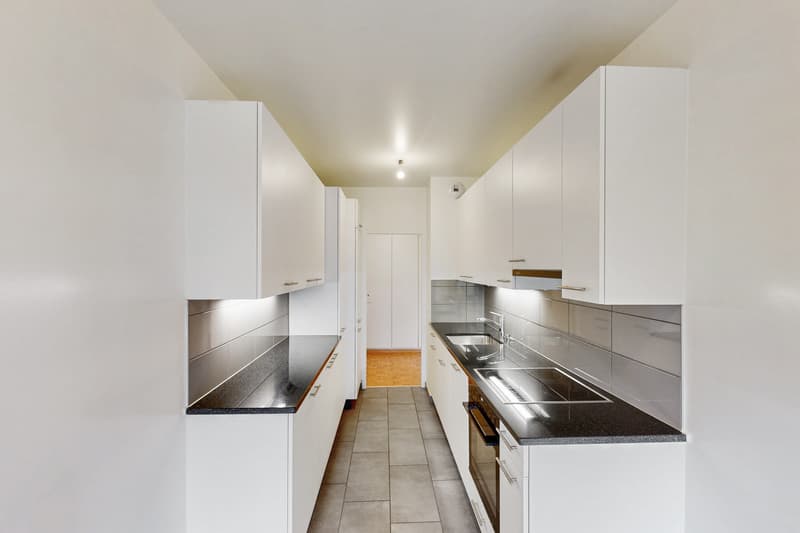 Appartement lumineux de 3,5 pièces (3)