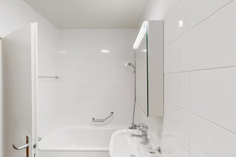 Appartement lumineux de 3,5 pièces (8)