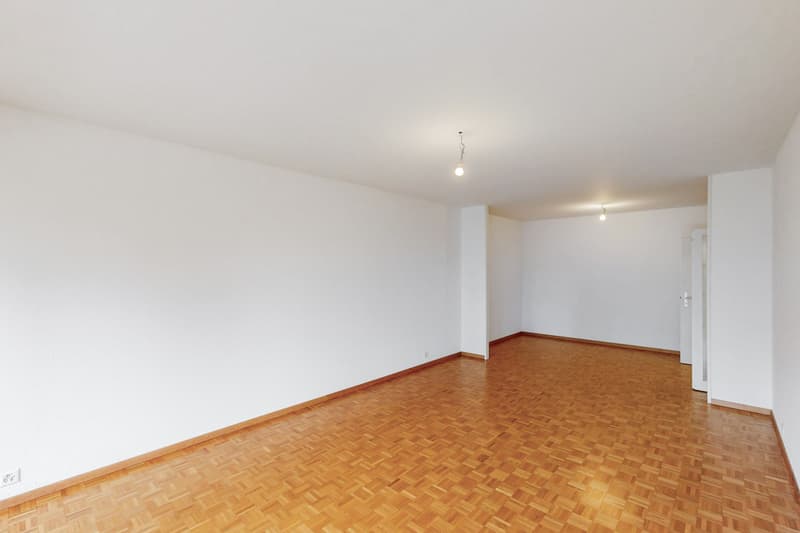 Appartement lumineux de 3,5 pièces (5)