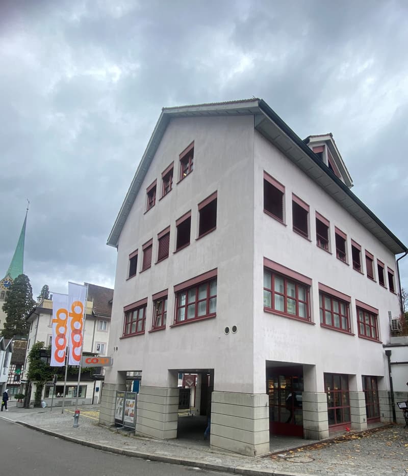 Bürofläche im Herzen von Horgen (2)