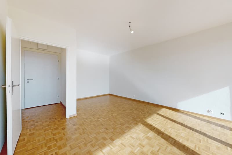 Belle appartement de 2 pièces proche de la Gare Cornavin (5)