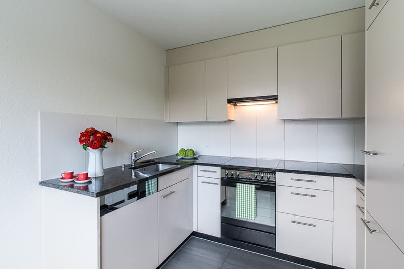 Moderne Wohnung in ruhigem Quartier (4)