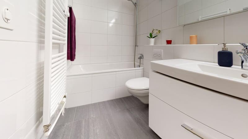 Moderne Wohnung in ruhigem Quartier (6)