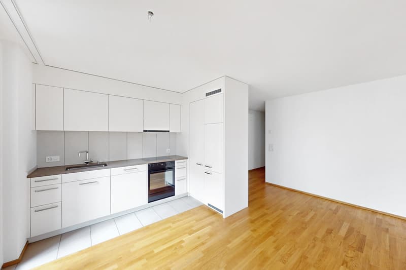 Modern Living - Altstetten (2)