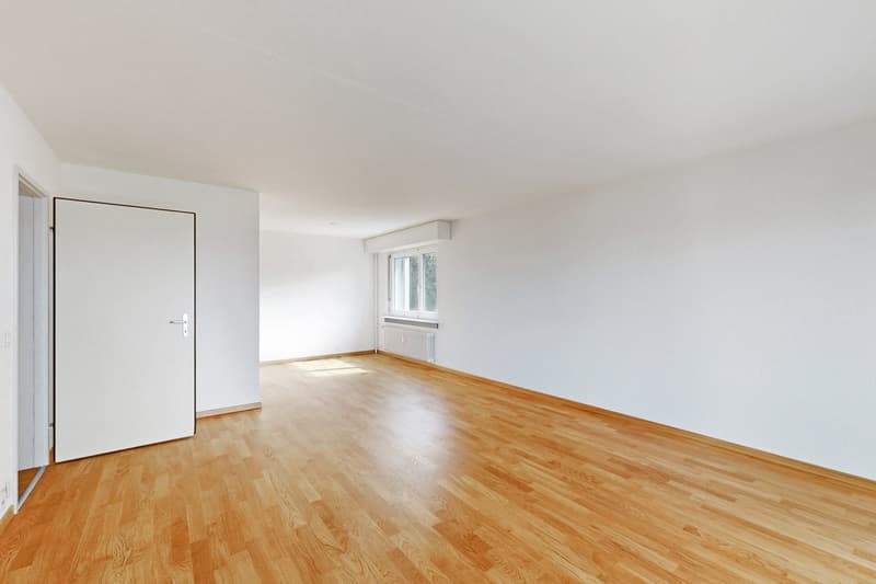 Ihr neues Zuhause mit einzigartiger Aussicht in Reussbühl (5)