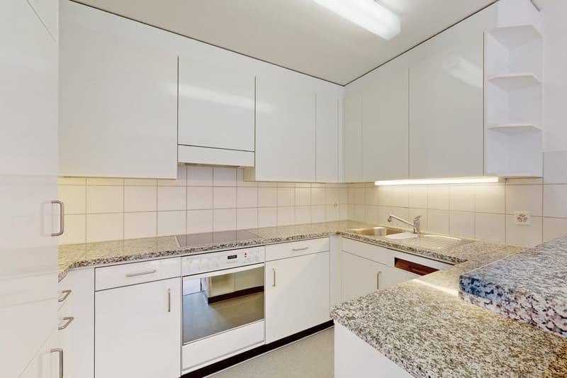 Ihr neues Zuhause mit einzigartiger Aussicht in Reussbühl (2)