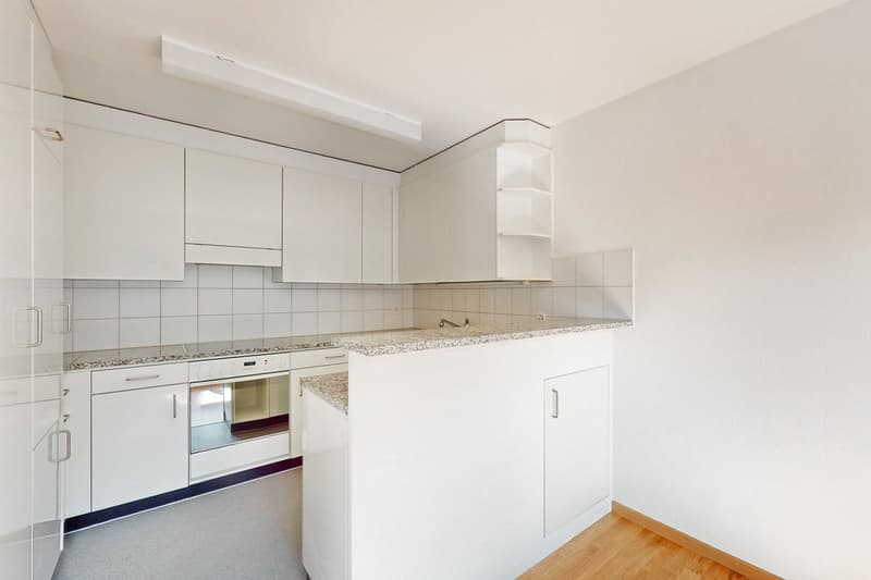 Ihr neues Zuhause mit einzigartiger Aussicht in Reussbühl (3)