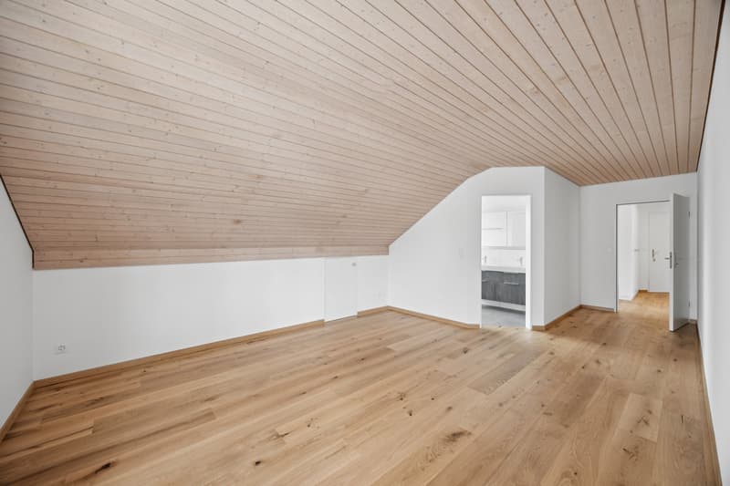 Grosszügige Dachwohnung - Erstvermietung nach Sanierung (8)