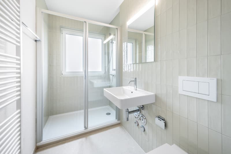 Ideale Singlewohnung - frisch saniert! (6)