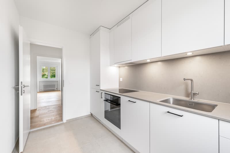 Ideale Singlewohnung - frisch saniert! (7)