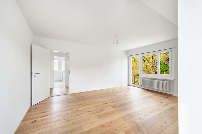 Ideale Singlewohnung - frisch saniert! (3)