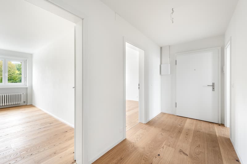 Ideale Singlewohnung - frisch saniert! (4)
